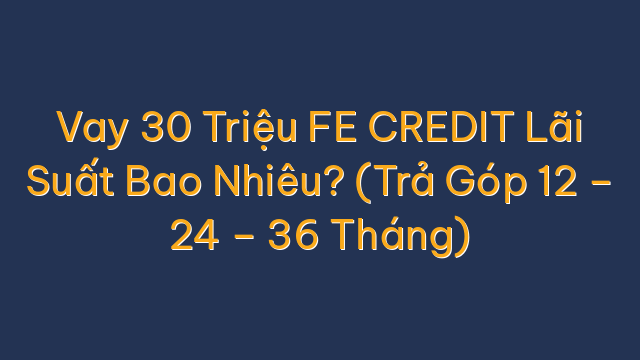 Vay 30 Triệu FE CREDIT Lãi Suất Bao Nhiêu? (Trả Góp 12 – 24 – 36 Tháng)