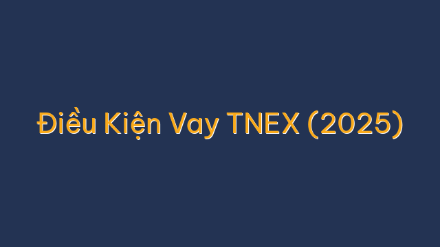 Điều Kiện Vay TNEX (2025)